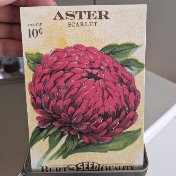 Floral Postcard Set - Cavallini and Co. - Picture 5 of 9